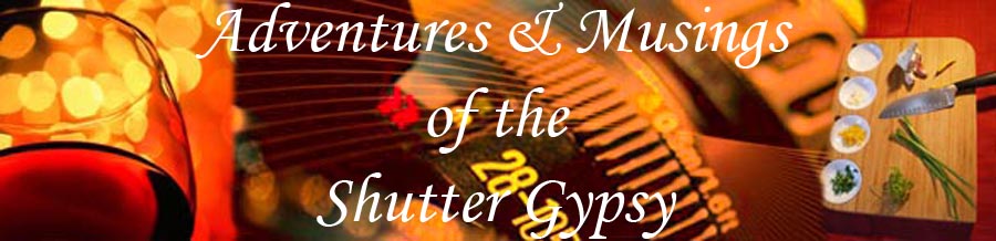 Adventures & Musings Of The Shutter Gypsy
