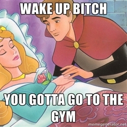 Go To The Gym!